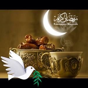 Meet your Posher, Asia